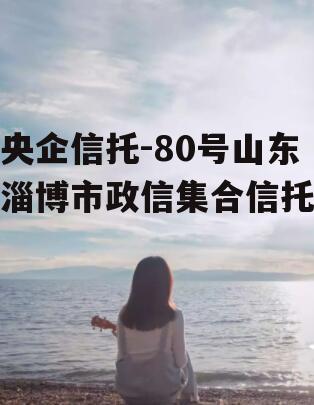 央企信托-80号山东淄博市政信集合信托