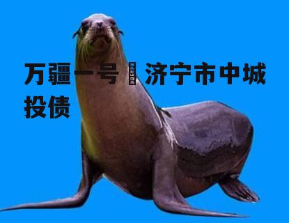 万疆一号•济宁市中城投债