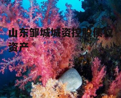 山东邹城城资控股债权资产