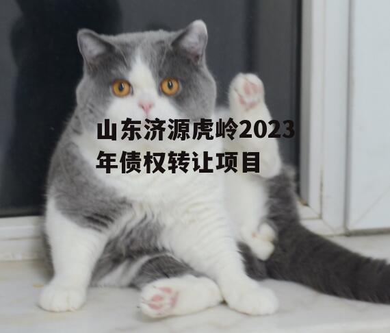 山东济源虎岭2023年债权转让项目