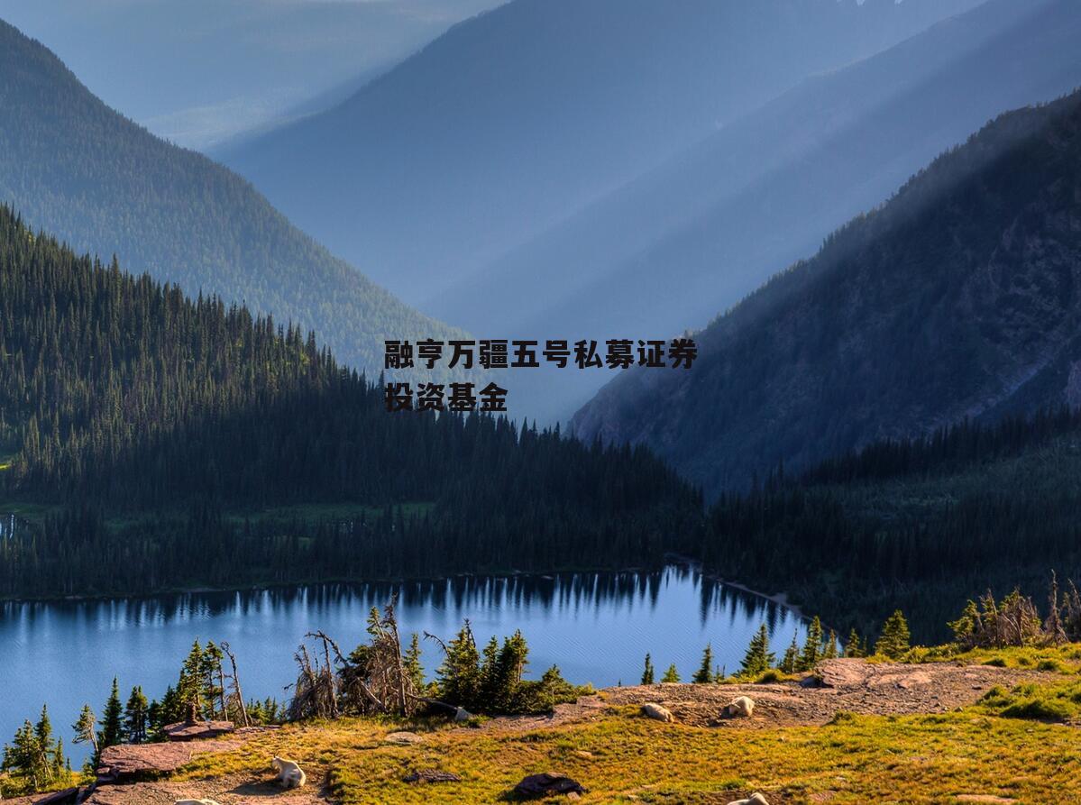 融亨万疆五号私募证券投资基金