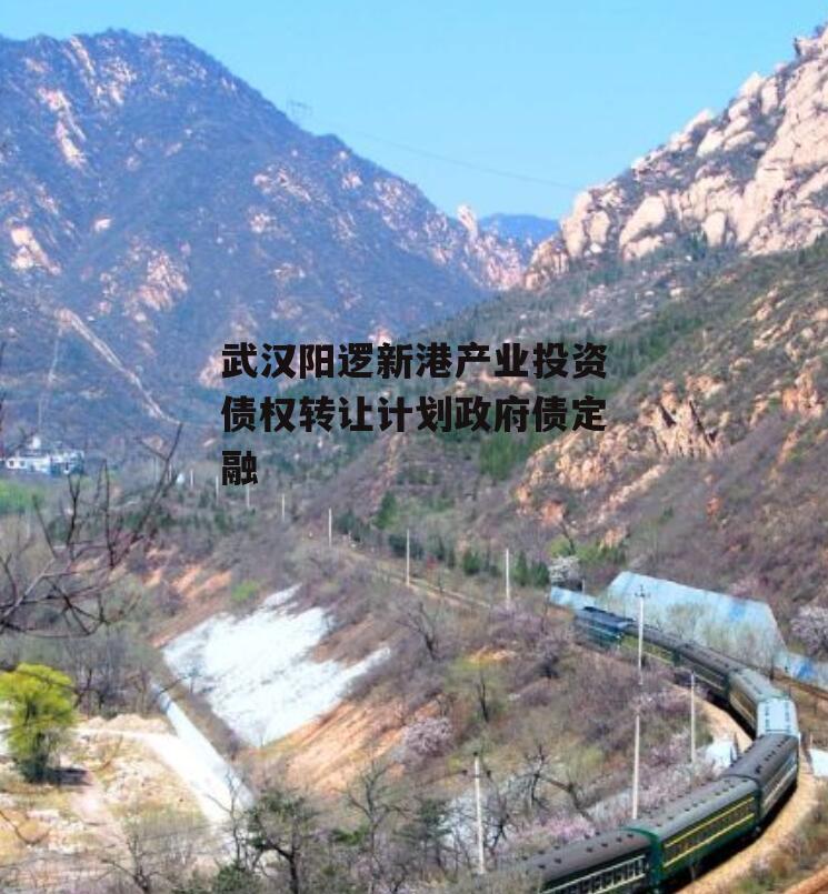 武汉阳逻新港产业投资债权转让计划政府债定融