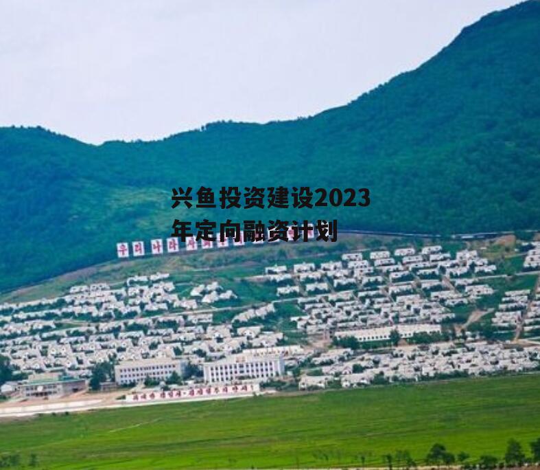 兴鱼投资建设2023年定向融资计划