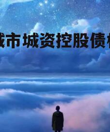 邹城市城资控股债权转让