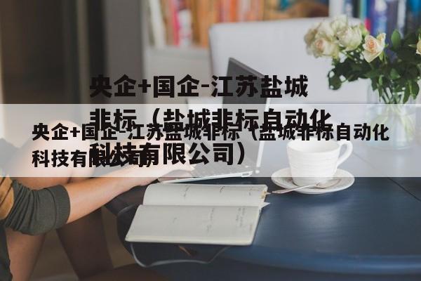 央企+国企-江苏盐城非标（盐城非标自动化科技有限公司）