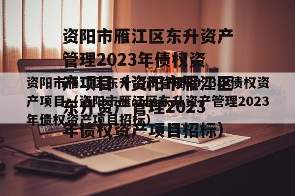 资阳市雁江区东升资产管理2023年债权资产项目（资阳市雁江区东升资产管理2023年债权资产项目招标）