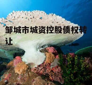 邹城市城资控股债权转让