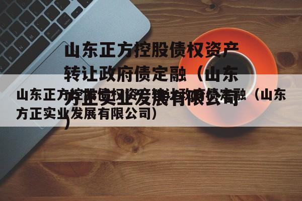 山东正方控股债权资产转让政府债定融（山东方正实业发展有限公司）
