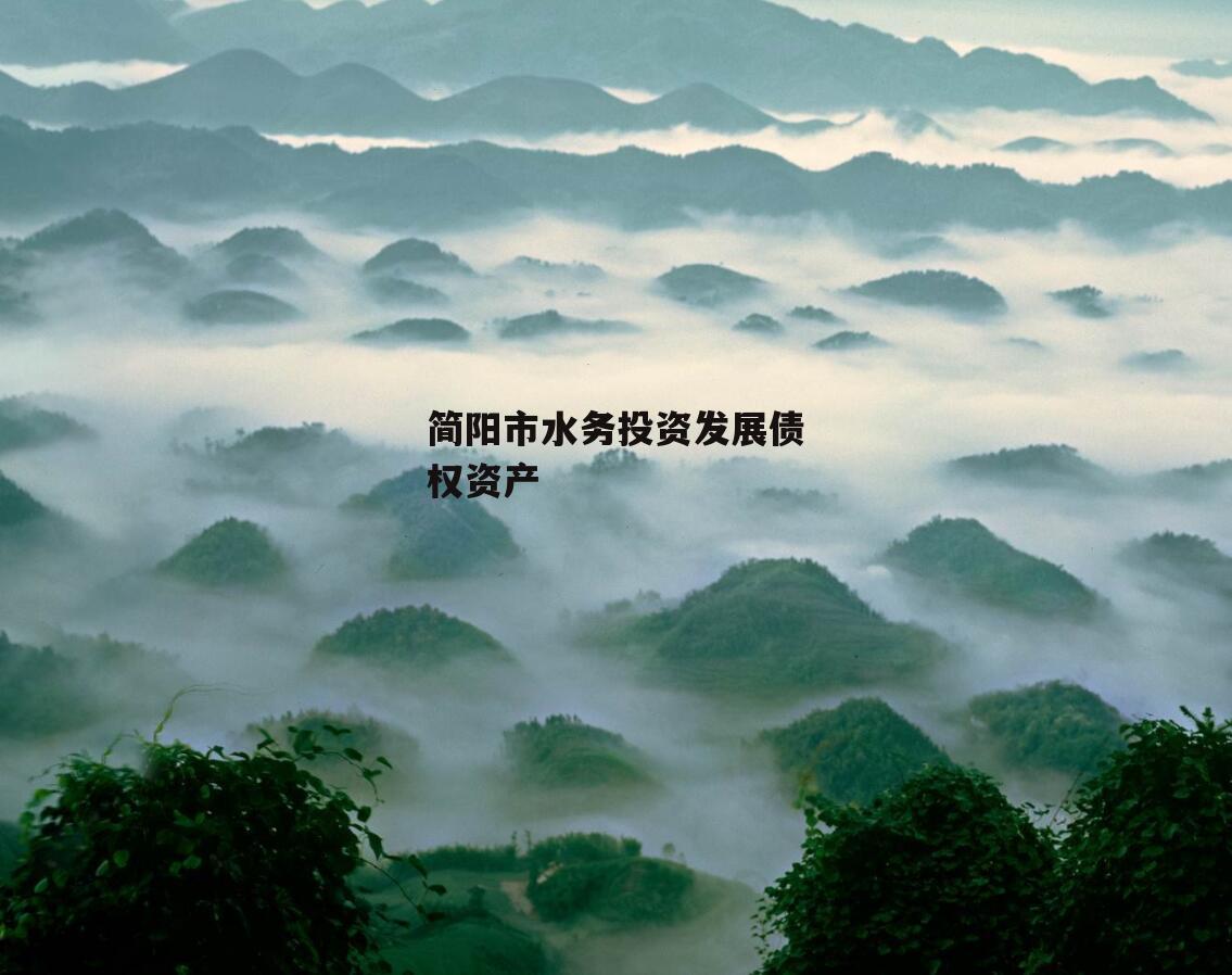 简阳市水务投资发展债权资产
