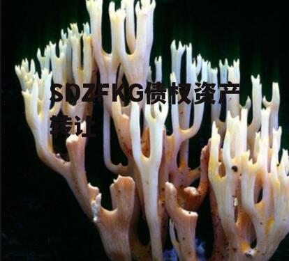 SDZFKG债权资产转让