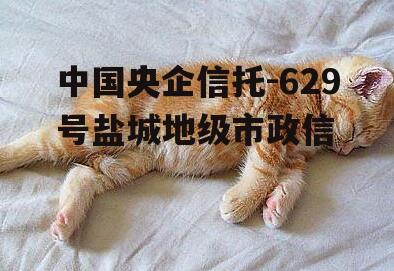 中国央企信托-629号盐城地级市政信