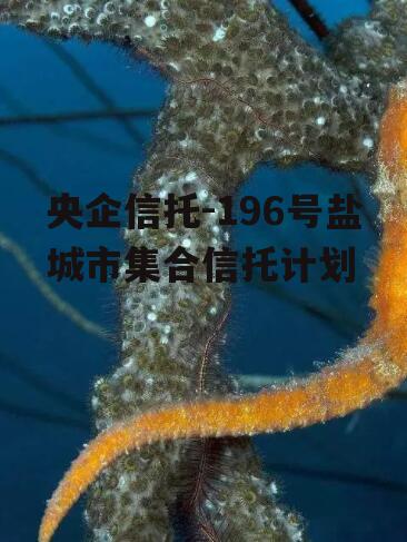 央企信托-196号盐城市集合信托计划
