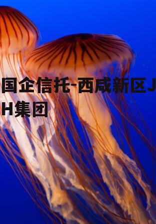 国企信托-西咸新区JH集团