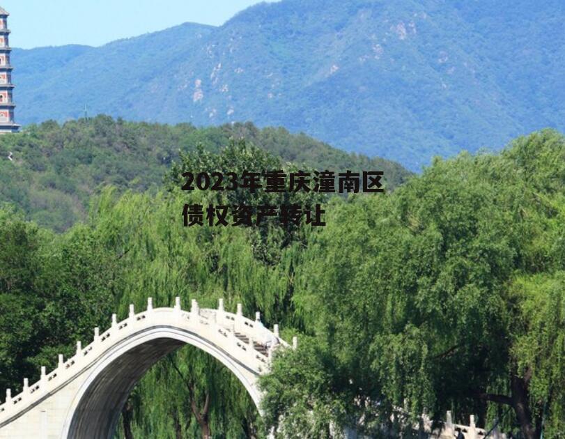 2023年重庆潼南区债权资产转让