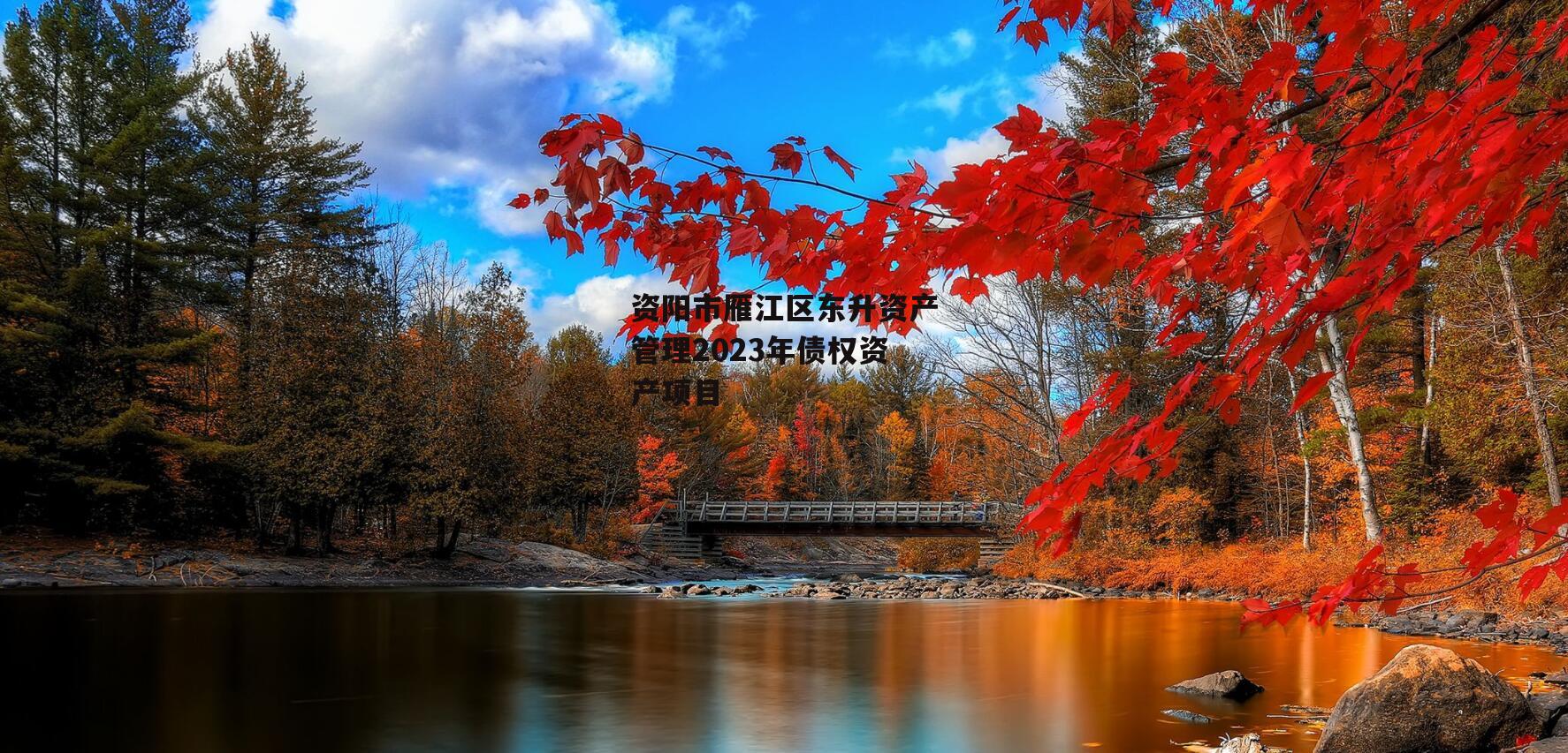 资阳市雁江区东升资产管理2023年债权资产项目
