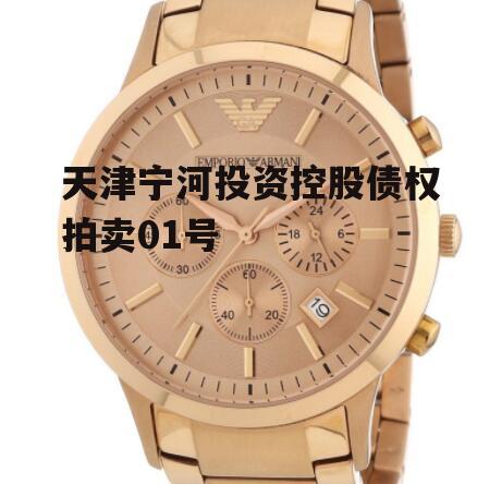 天津宁河投资控股债权拍卖01号