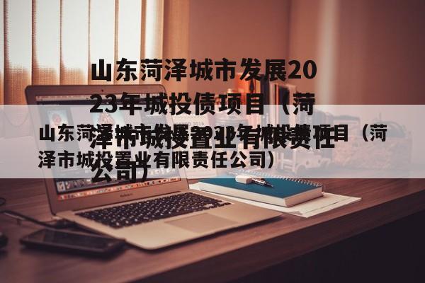 山东菏泽城市发展2023年城投债项目（菏泽市城投置业有限责任公司）