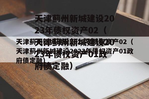 天津蓟州新城建设2023年债权资产02（天津蓟州新城建设2023年债权资产01政府债定融）