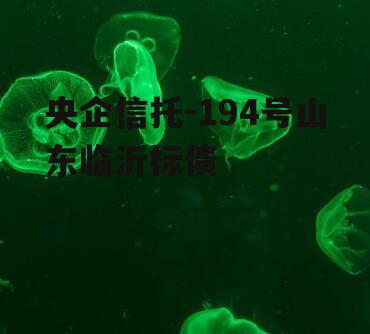 央企信托-194号山东临沂标债