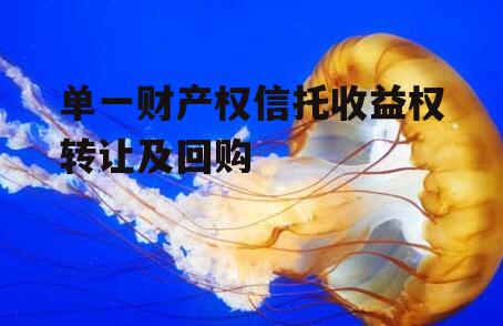 单一财产权信托收益权转让及回购