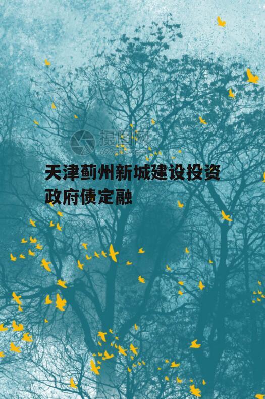 天津蓟州新城建设投资政府债定融