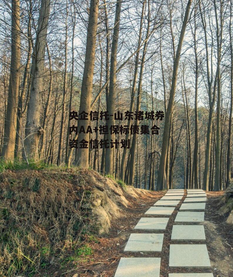 央企信托-山东诸城券内AA+担保标债集合资金信托计划