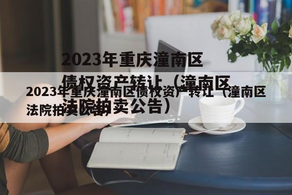 2023年重庆潼南区债权资产转让（潼南区法院拍卖公告）