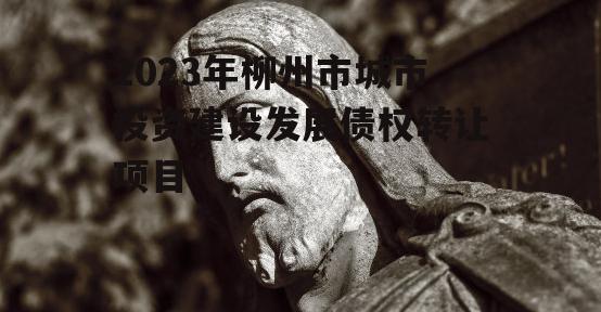 2023年柳州市城市投资建设发展债权转让项目