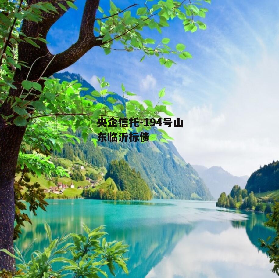 央企信托-194号山东临沂标债