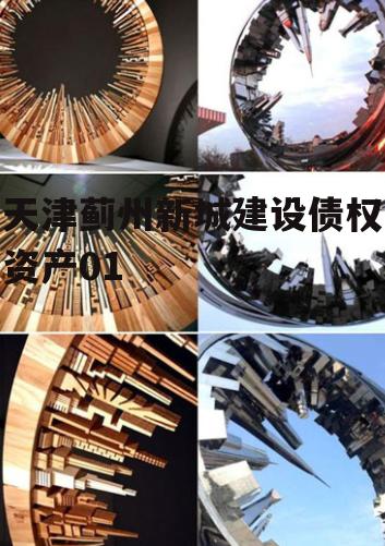 天津蓟州新城建设债权资产01