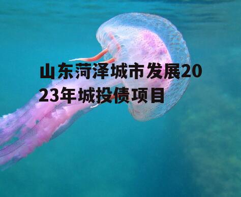 山东菏泽城市发展2023年城投债项目