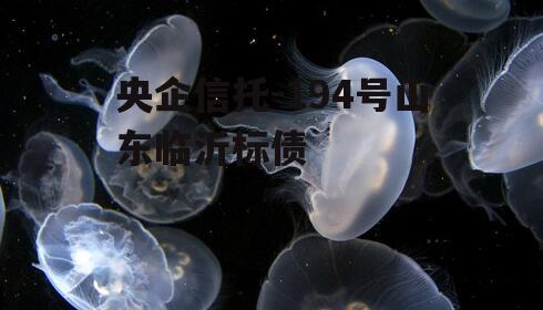 央企信托-194号山东临沂标债