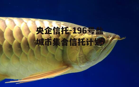 央企信托-196号盐城市集合信托计划