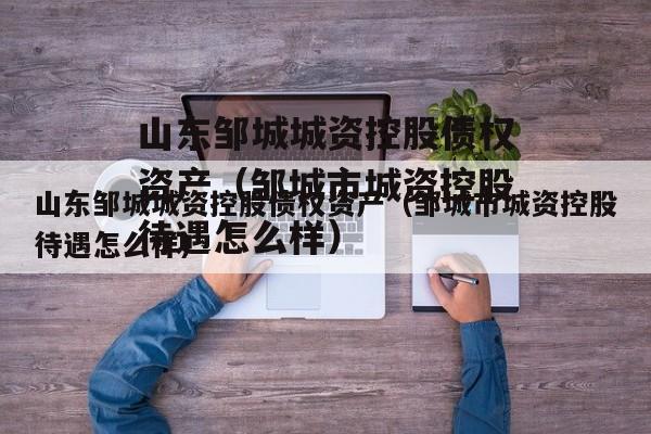 山东邹城城资控股债权资产（邹城市城资控股待遇怎么样）