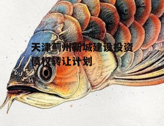 天津蓟州新城建设投资债权转让计划