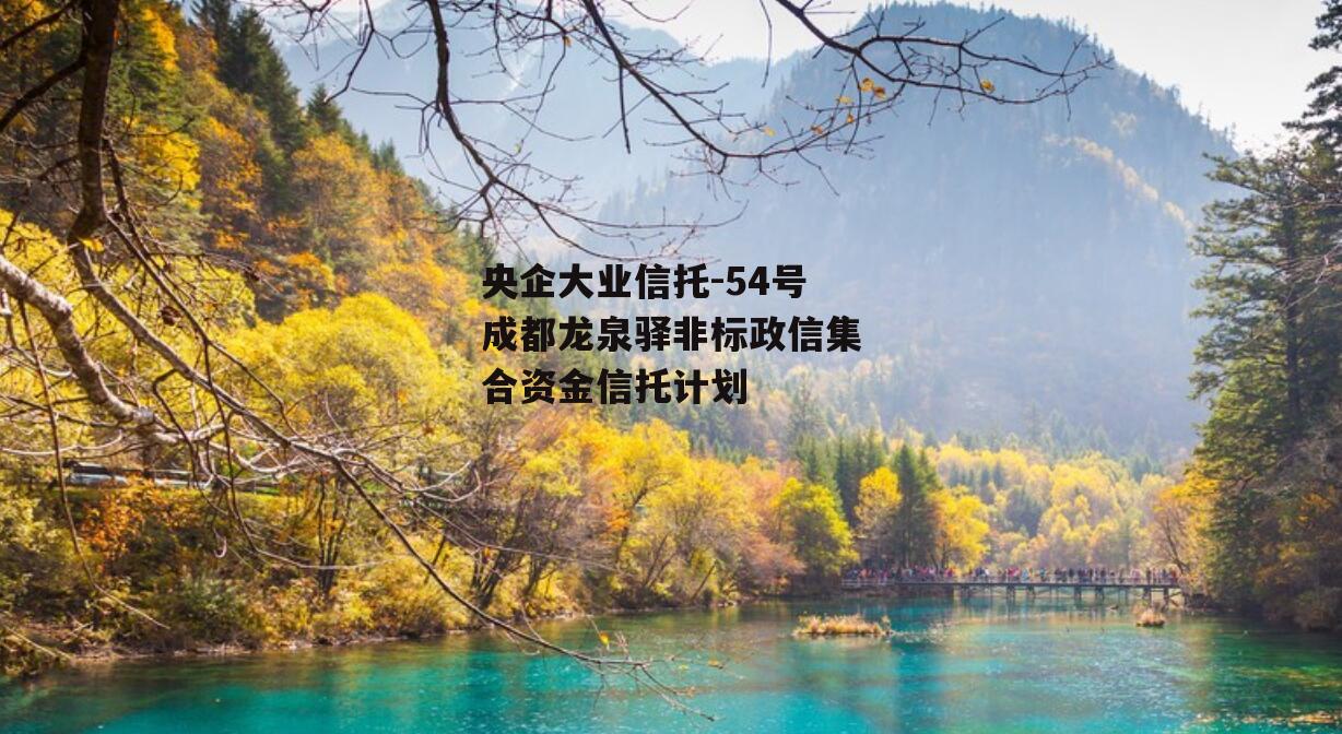 央企大业信托-54号成都龙泉驿非标政信集合资金信托计划