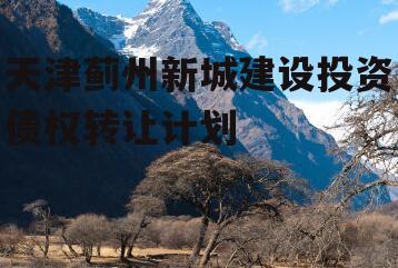 天津蓟州新城建设投资债权转让计划