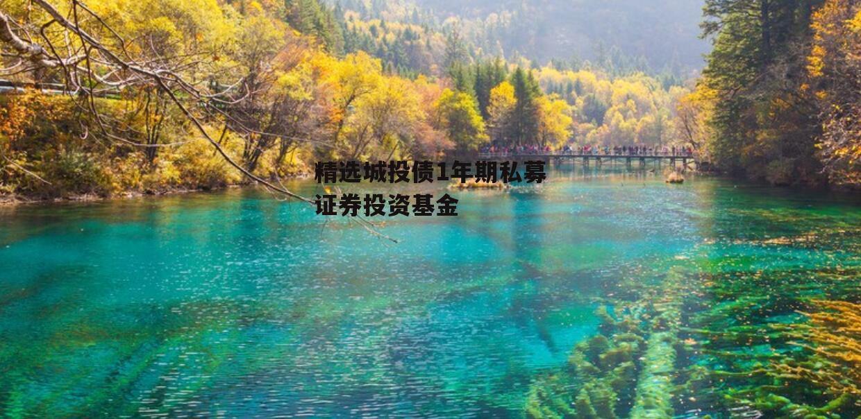精选城投债1年期私募证券投资基金