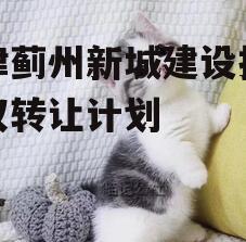 天津蓟州新城建设投资债权转让计划