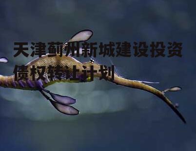 天津蓟州新城建设投资债权转让计划