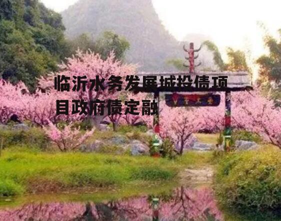临沂水务发展城投债项目政府债定融