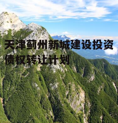 天津蓟州新城建设投资债权转让计划
