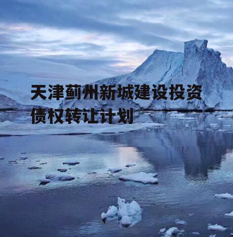 天津蓟州新城建设投资债权转让计划