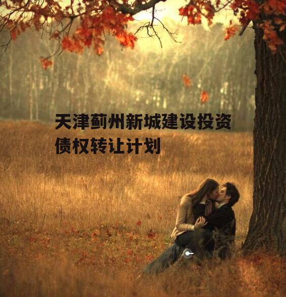 天津蓟州新城建设投资债权转让计划