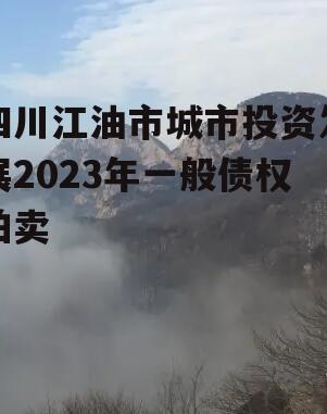四川江油市城市投资发展2023年一般债权拍卖