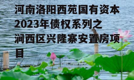 河南洛阳西苑国有资本2023年债权系列之涧西区兴隆寨安置房项目