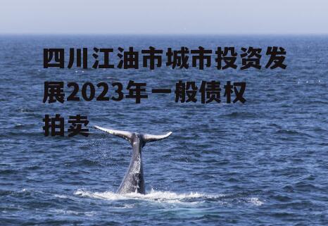 四川江油市城市投资发展2023年一般债权拍卖