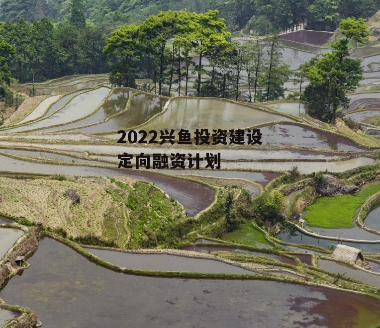 2022兴鱼投资建设定向融资计划