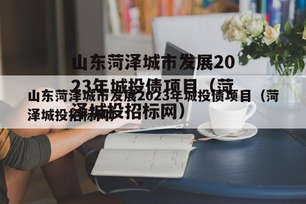 山东菏泽城市发展2023年城投债项目（菏泽城投招标网）