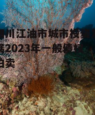 四川江油市城市投资发展2023年一般债权拍卖